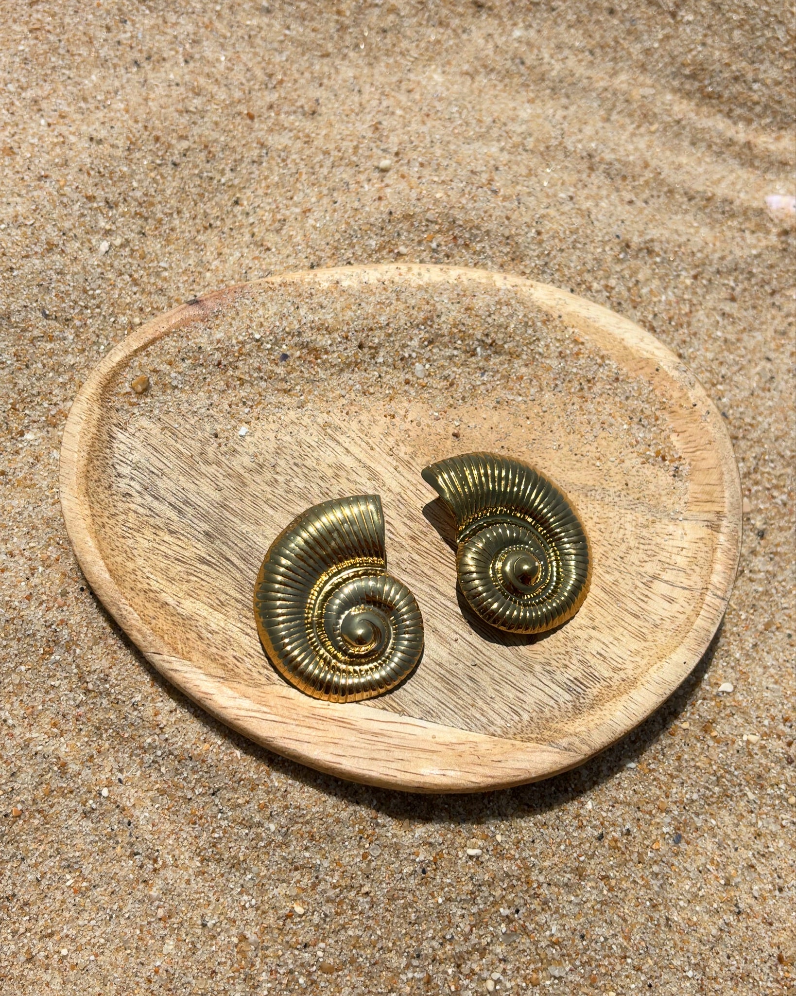 Brincos Concha CHECK