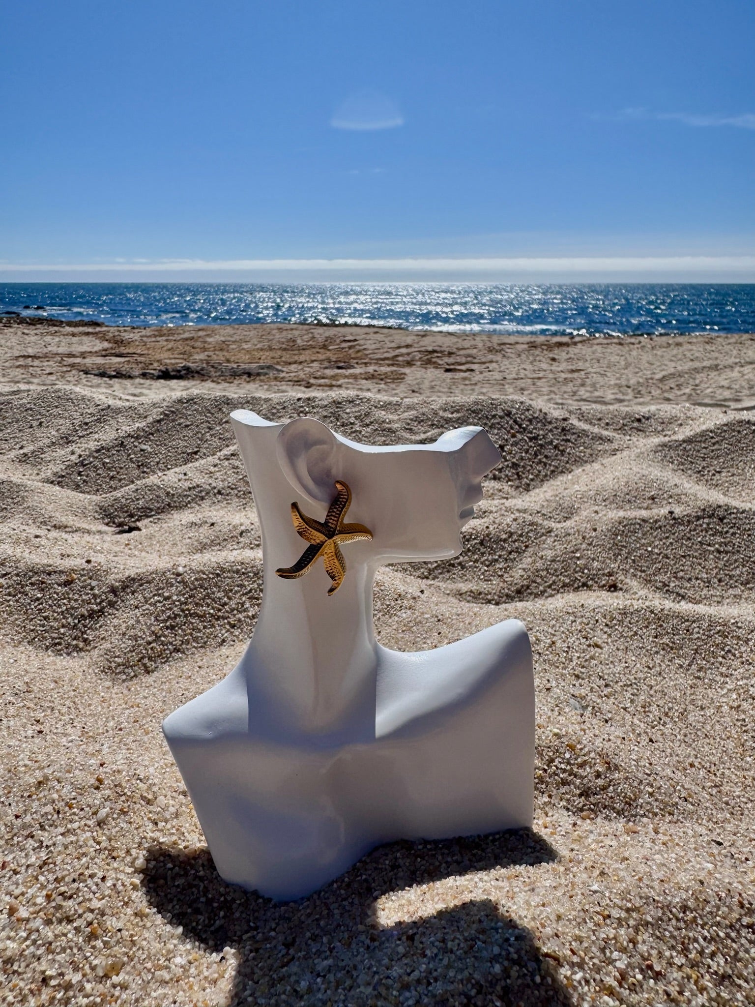 Brincos Estrela CHECK