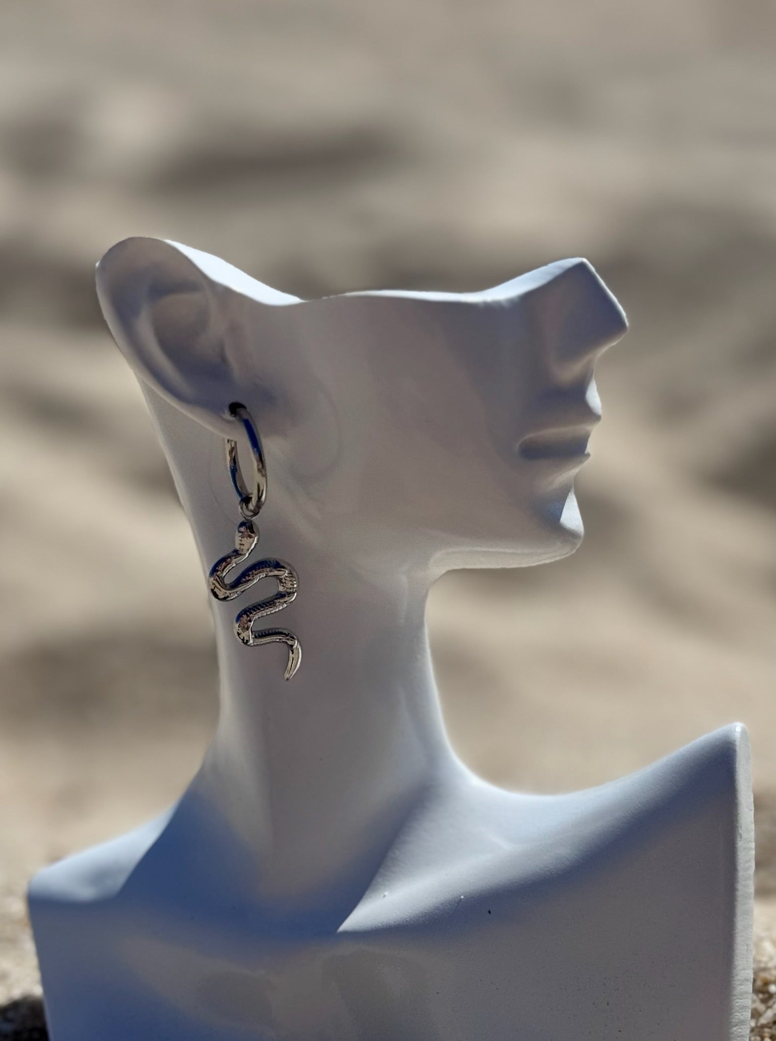 Brincos Serpente prateada CHECK