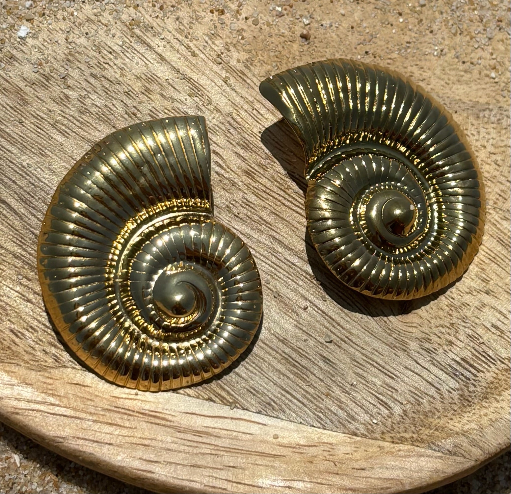 Brincos Concha CHECK