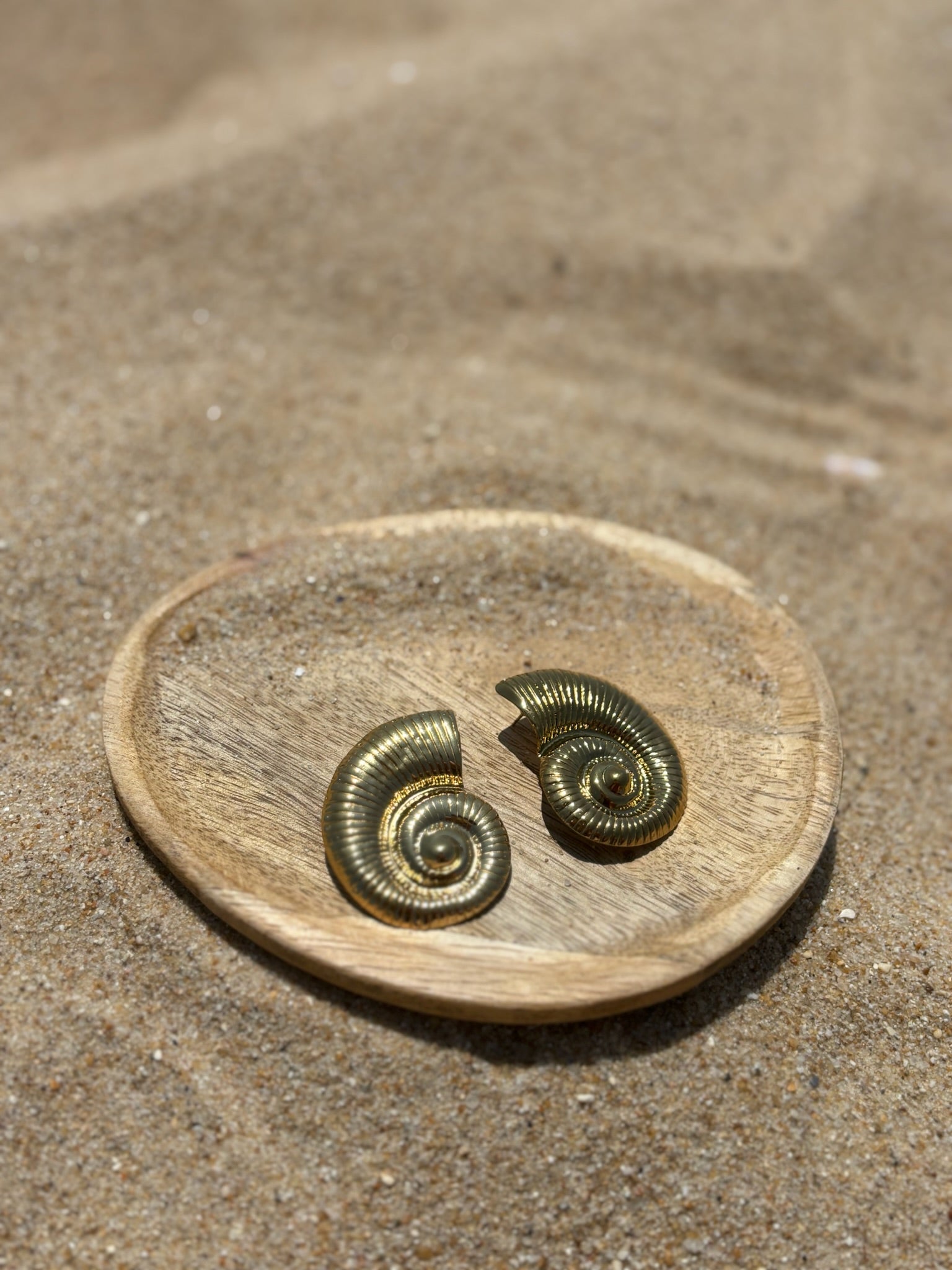 Brincos Concha CHECK