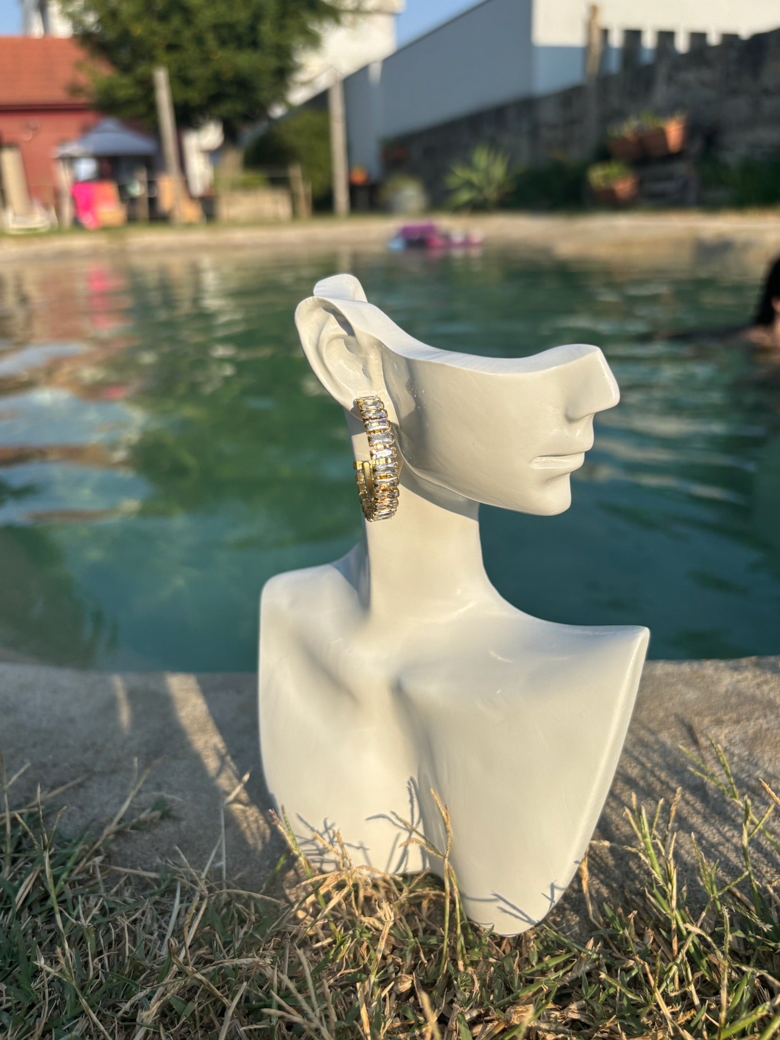 Brincos  Asteris CHECK