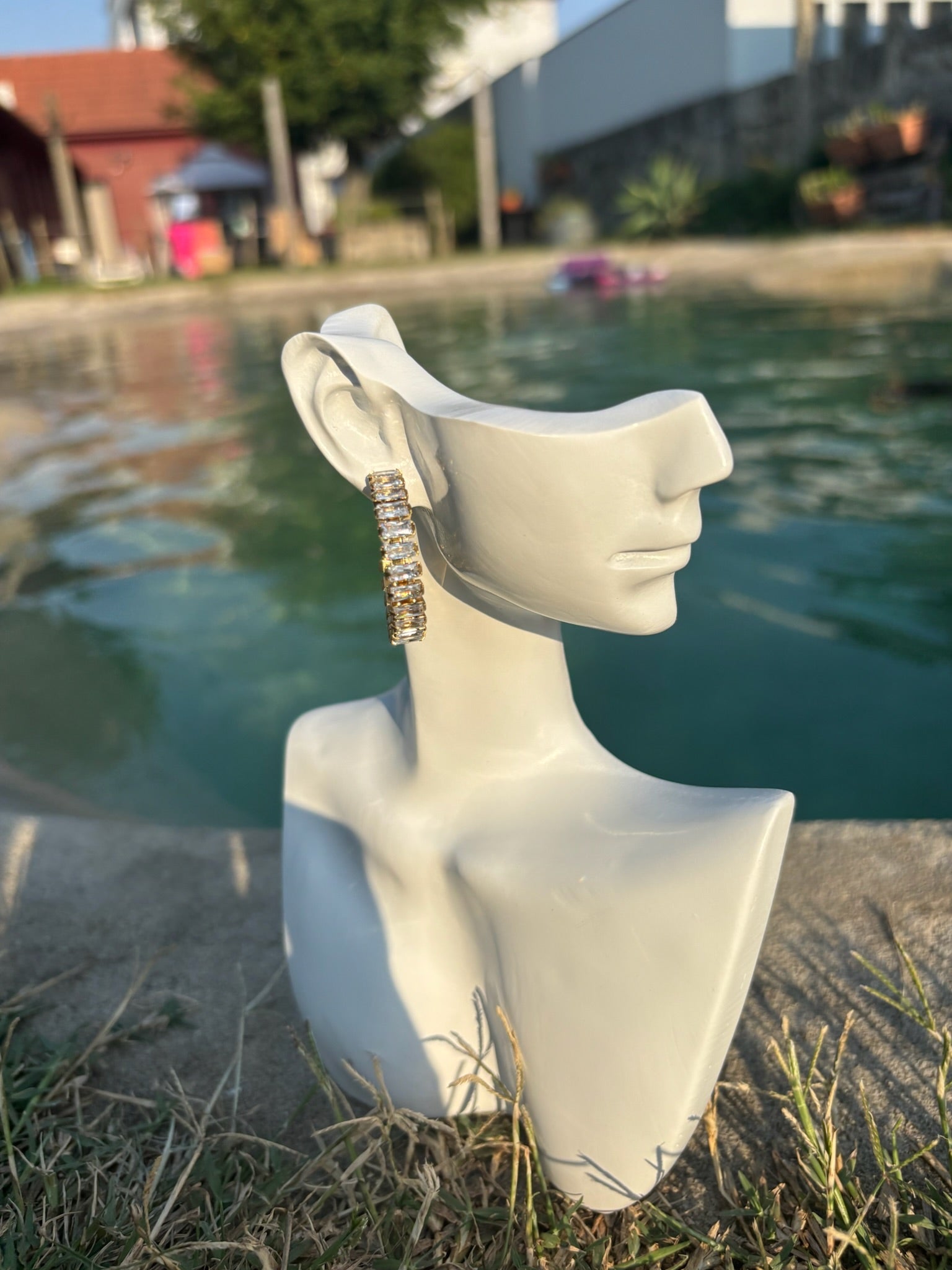 Brincos  Asteris CHECK