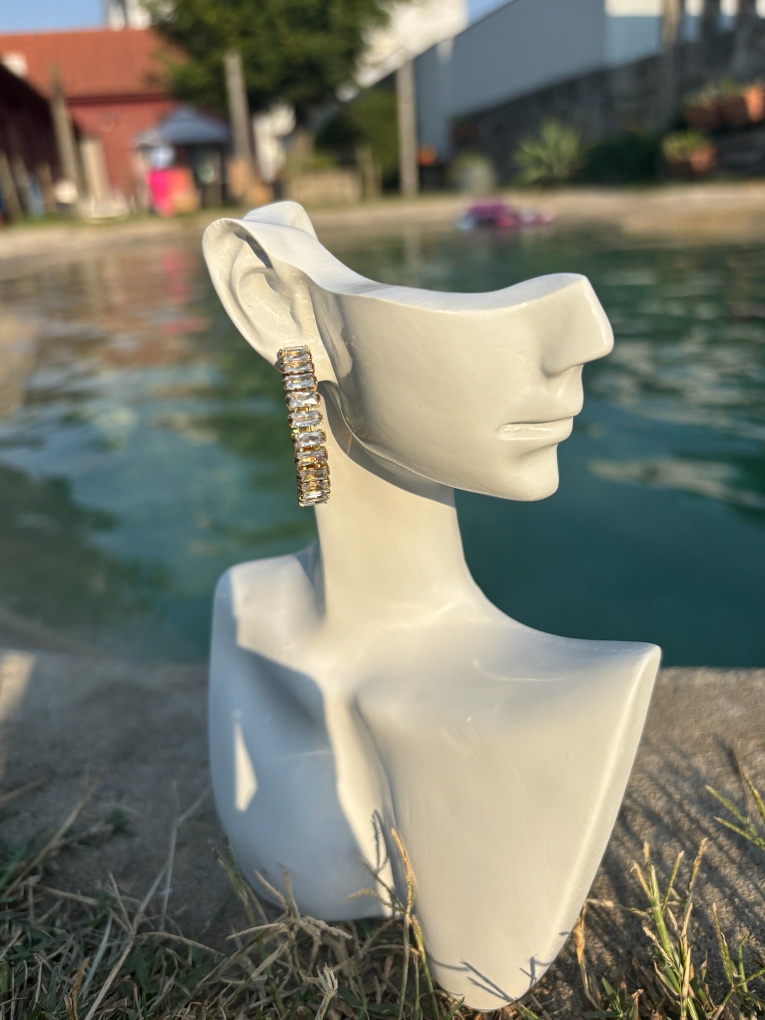 Brincos  Asteris CHECK