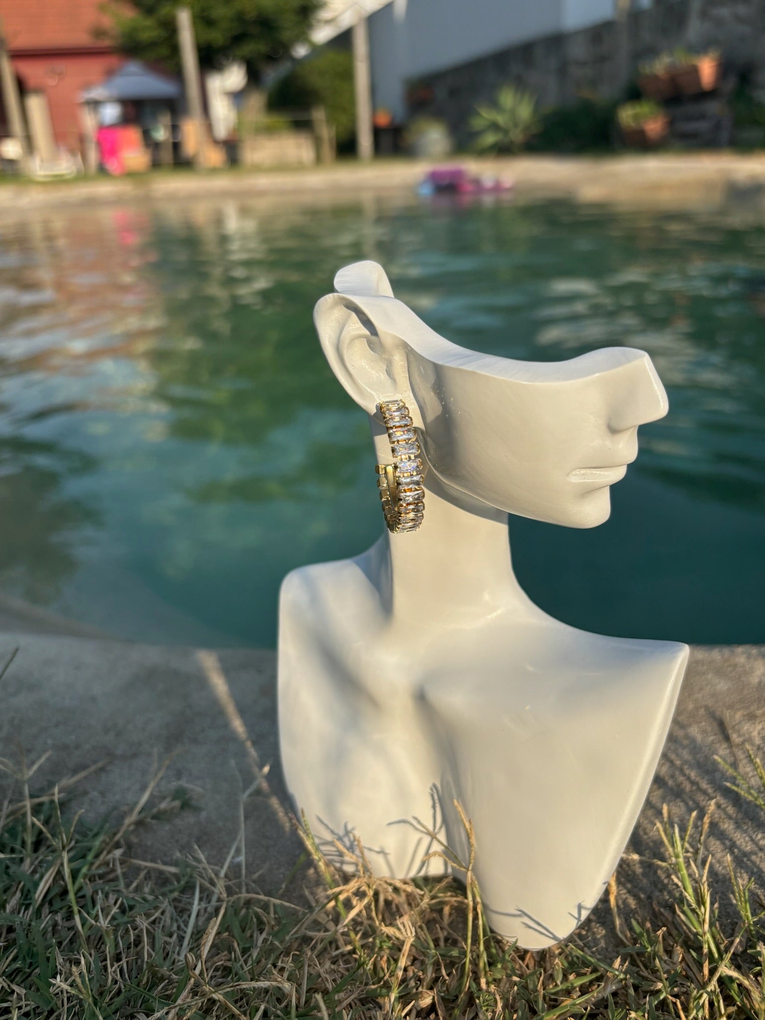 Brincos  Asteris CHECK