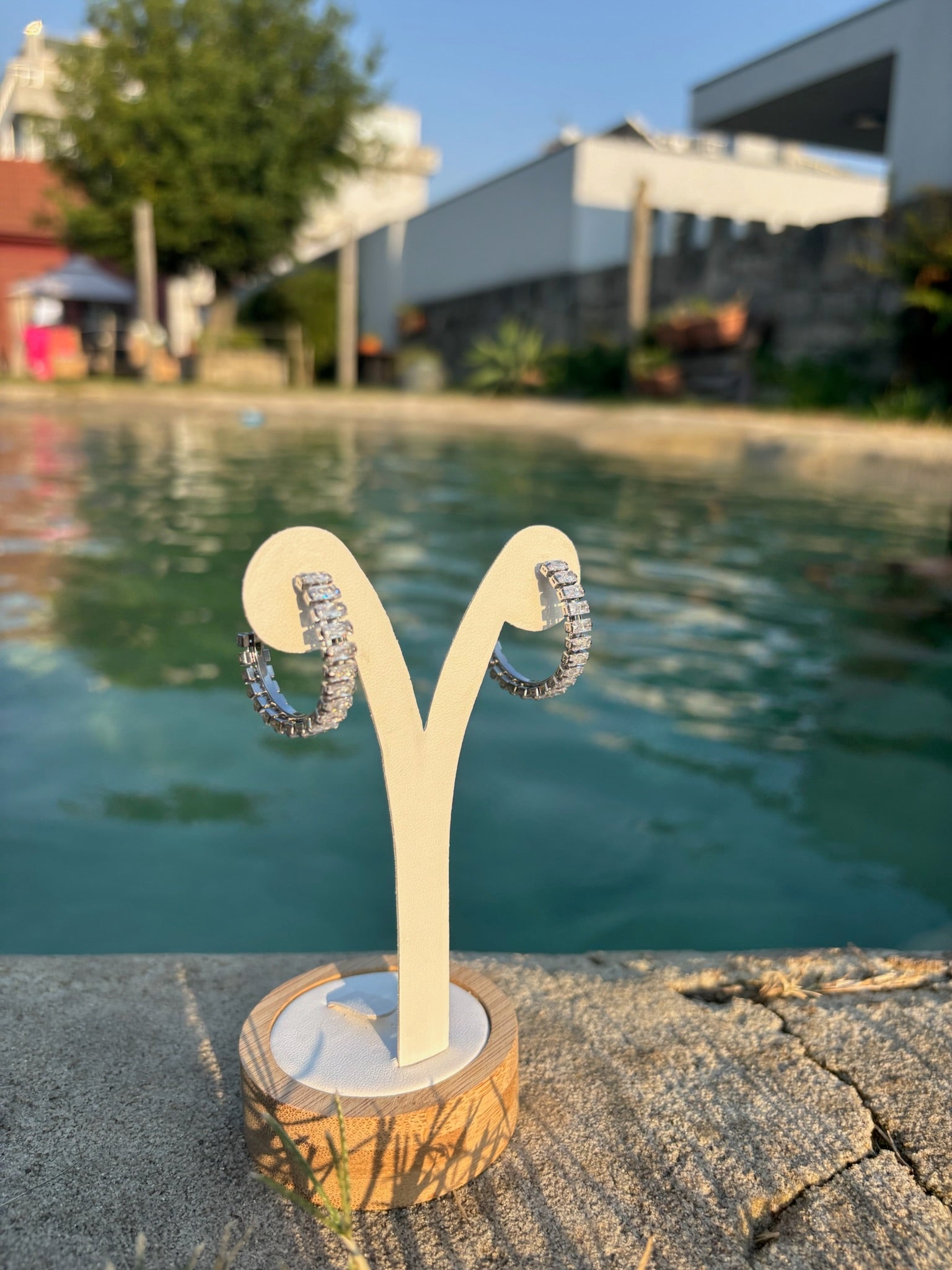 Brincos Asteris Prateado CHECK