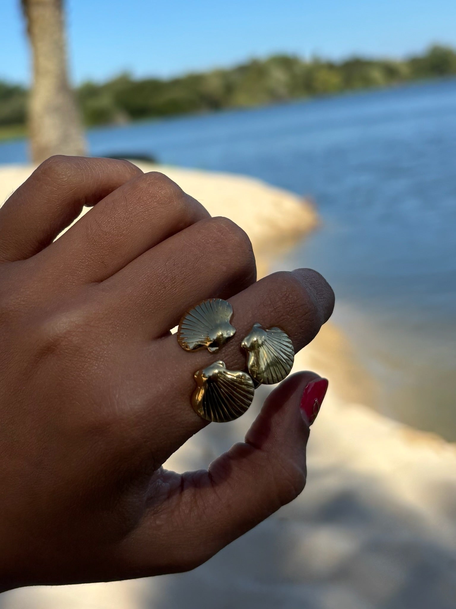 Anel 3 Conchas CHECK