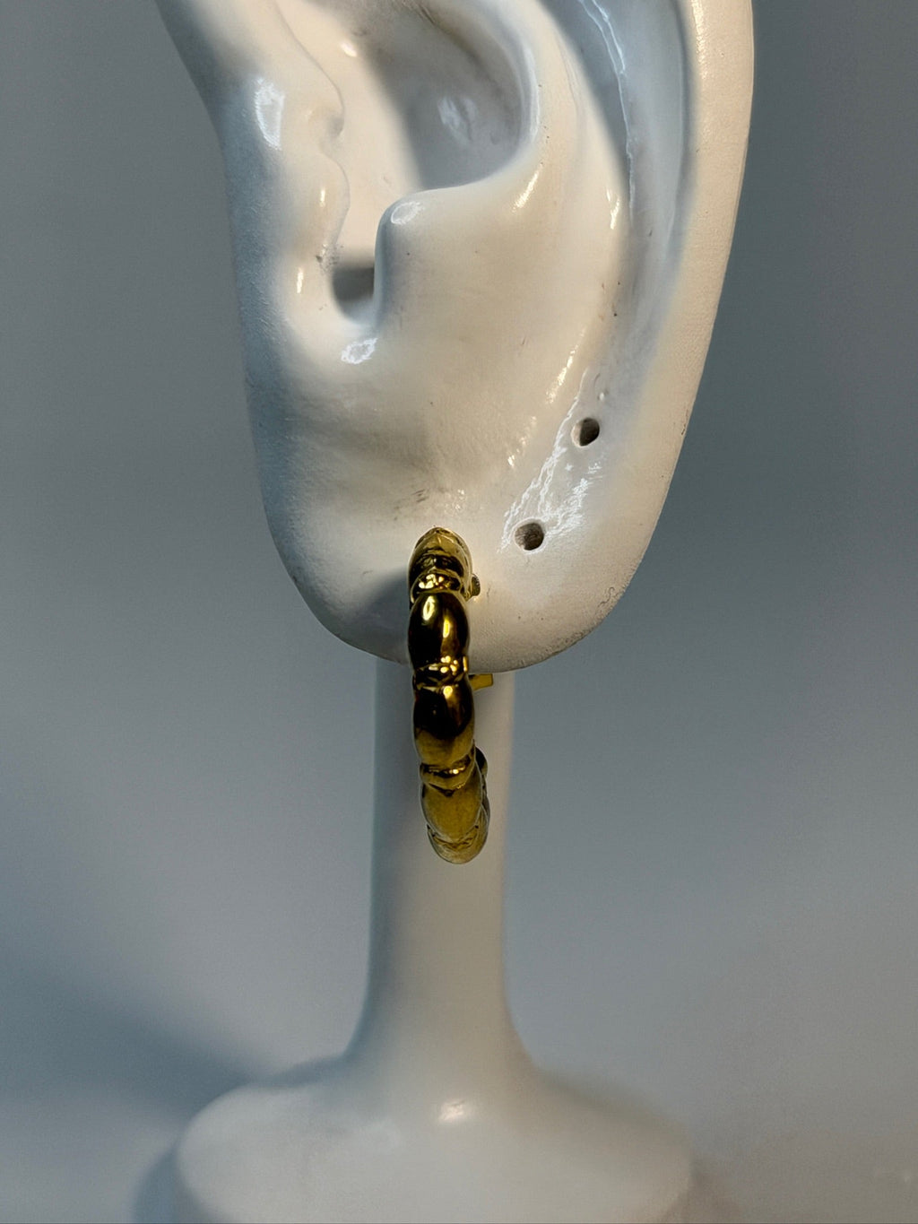 Brincos Amara ZAIA