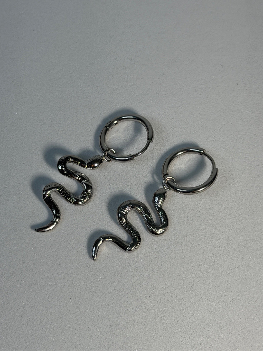 Brincos Serpente Prateada ZAIA