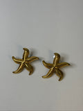 Brincos Estrela ZAIA
