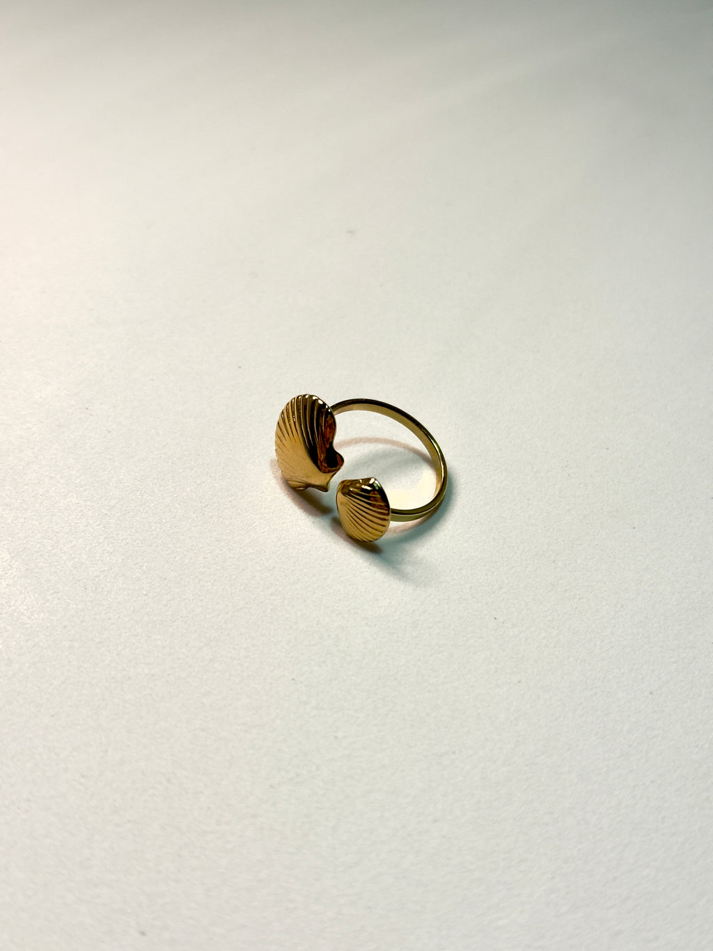 Anel concha CHECK
