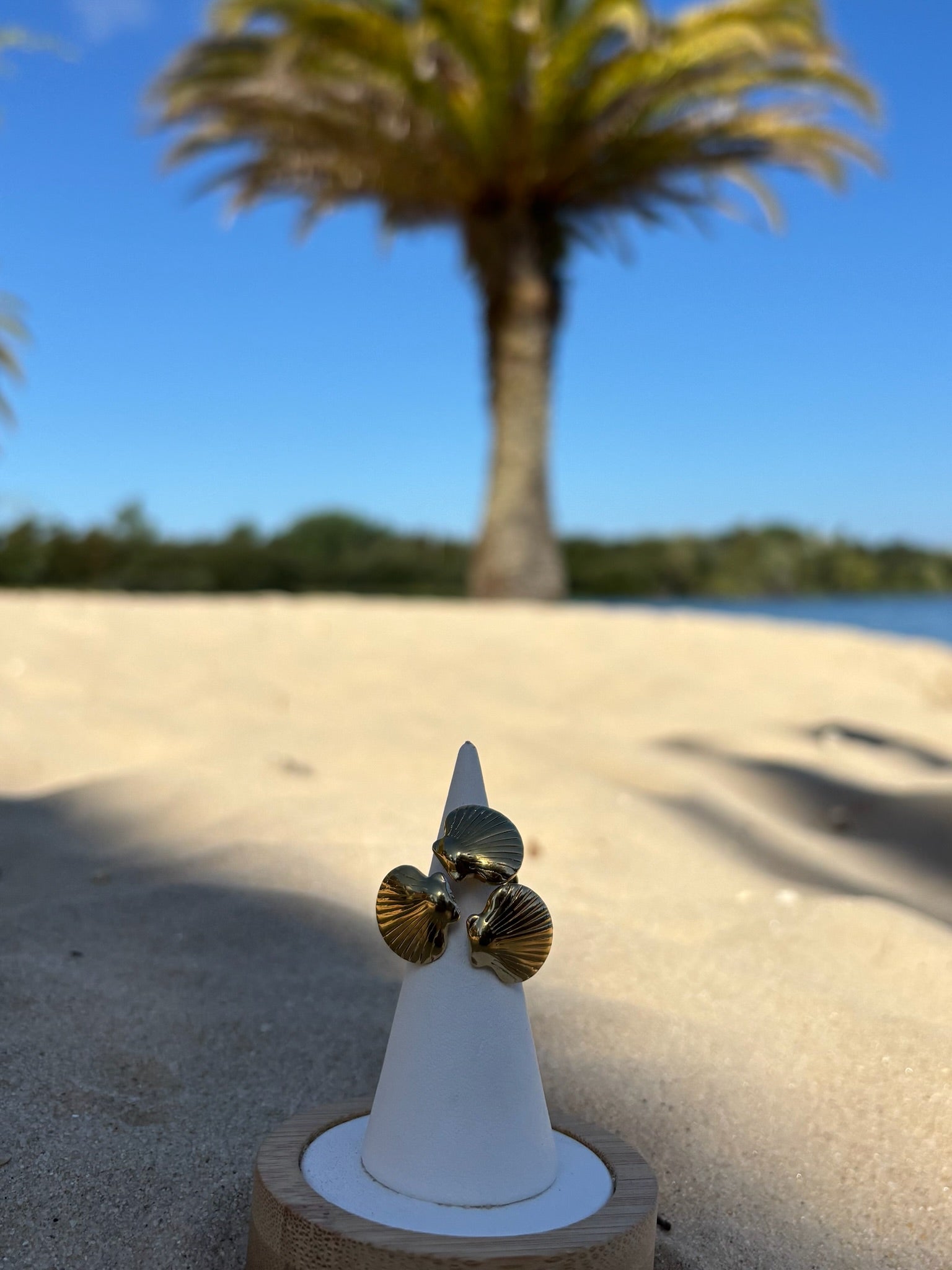 Anel Isla