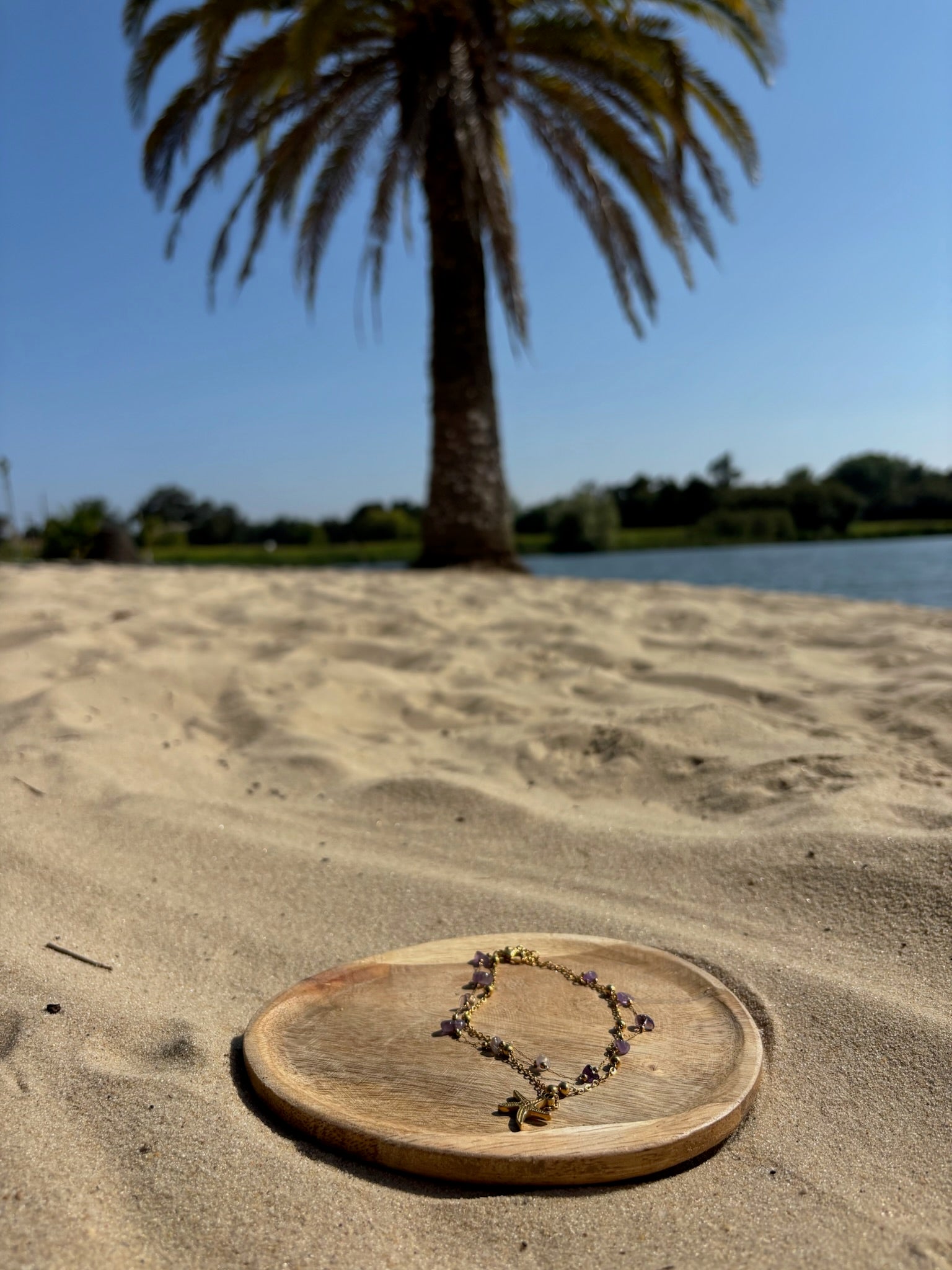 Pulseira do Pe "Estrela do mar" CHECK 1